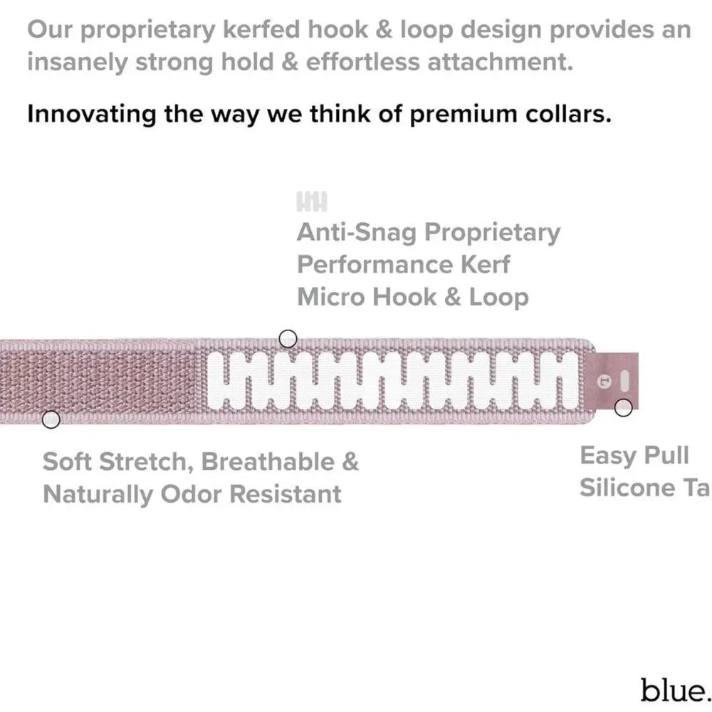 Feathered Pink Premium Dog Collar With CloudTag By Blue Size S NIB